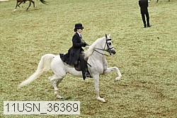 11usn_36369 proof