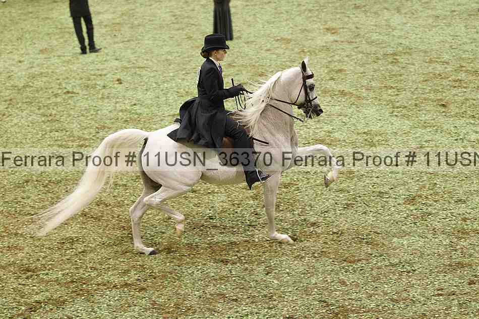Proof 11usn_36370