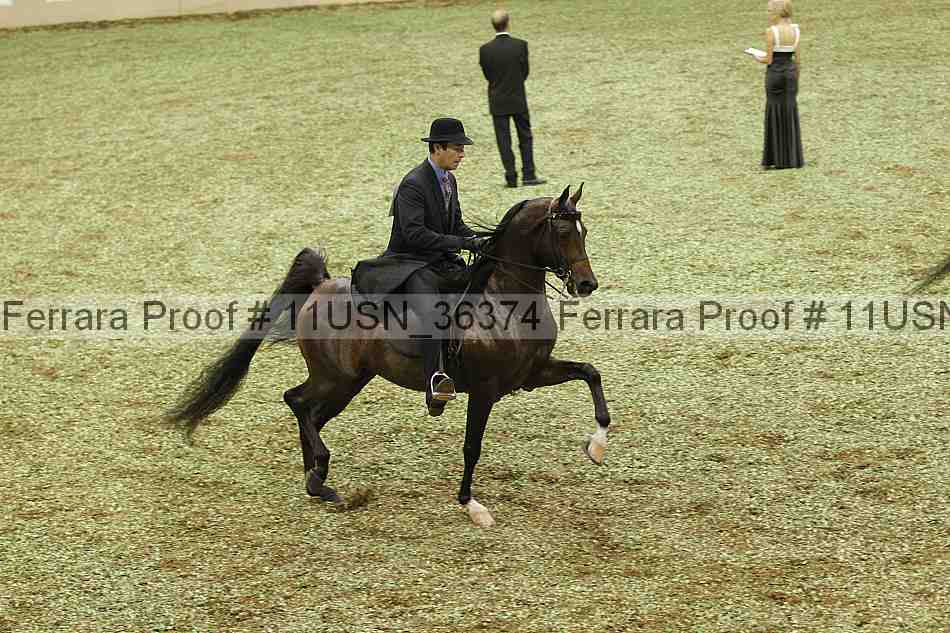 Proof 11usn_36374
