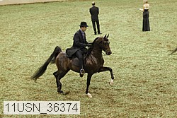 11usn_36374 proof