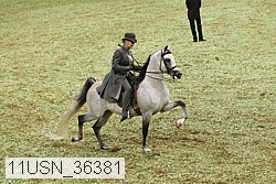 11usn_36381 proof