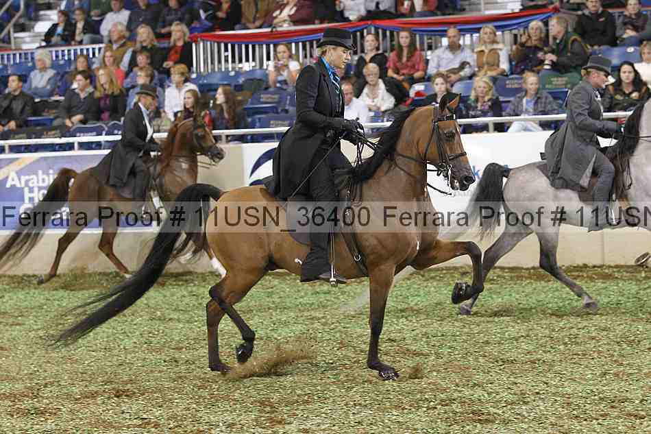 Proof 11usn_36400