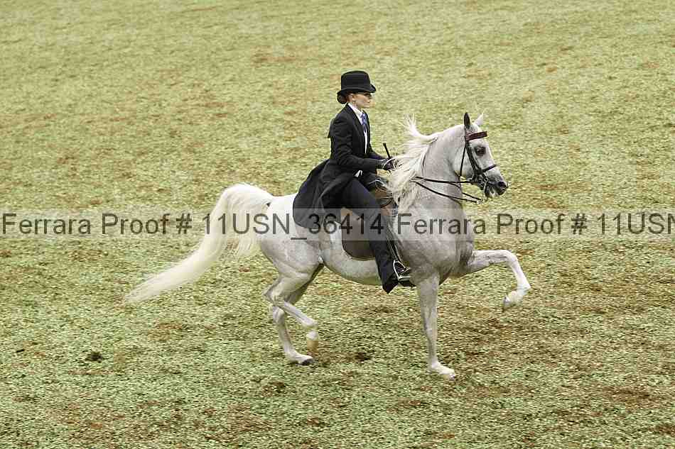 Proof 11usn_36414