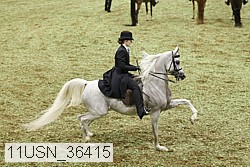 11usn_36415 proof