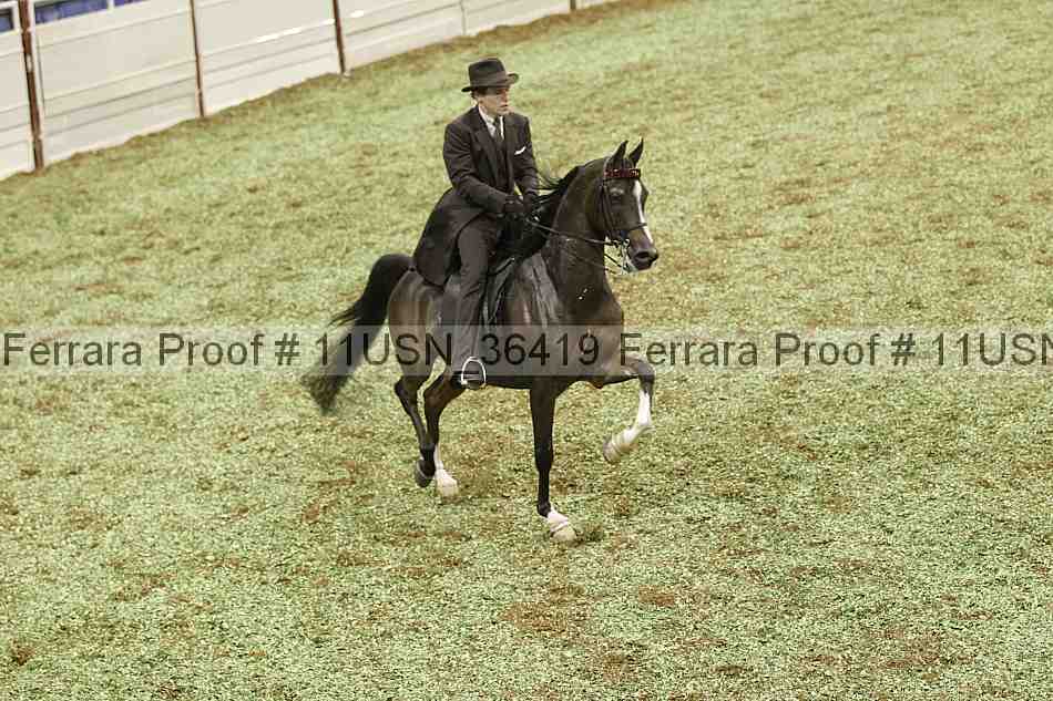 Proof 11usn_36419
