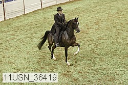 11usn_36419 proof