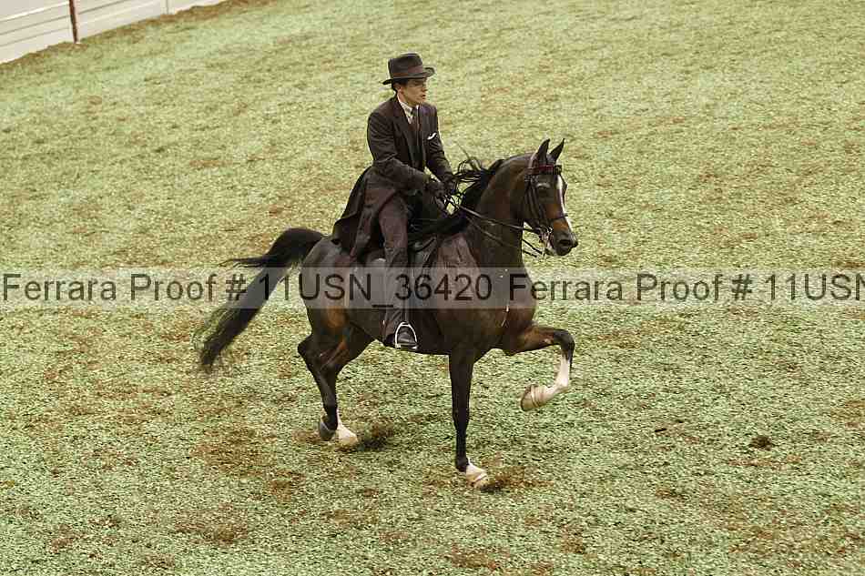 Proof 11usn_36420