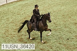 11usn_36420 proof