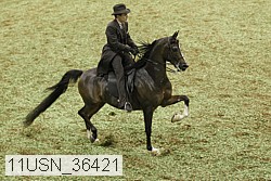 11usn_36421 proof