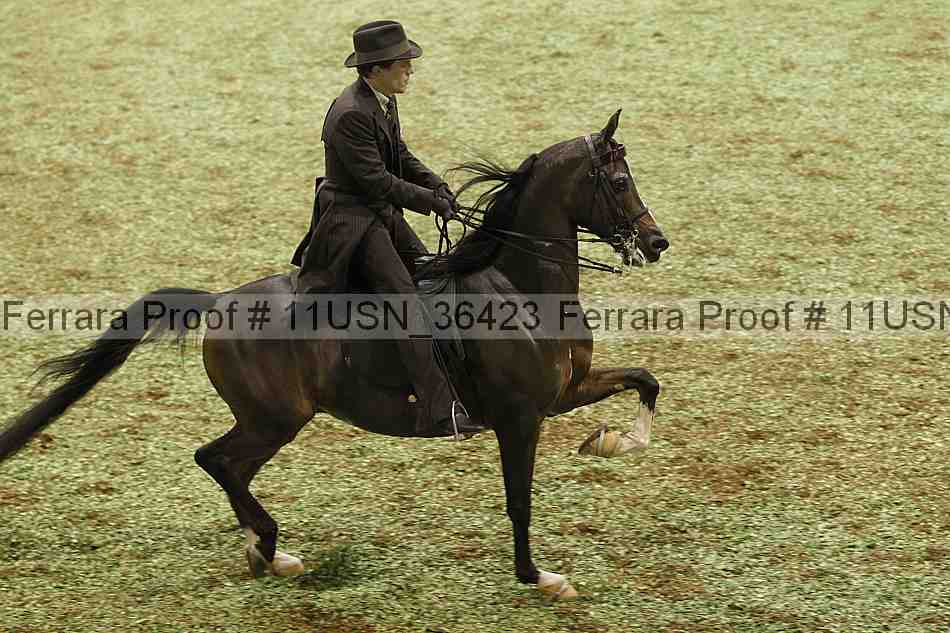 Proof 11usn_36423