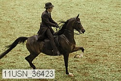11usn_36423 proof