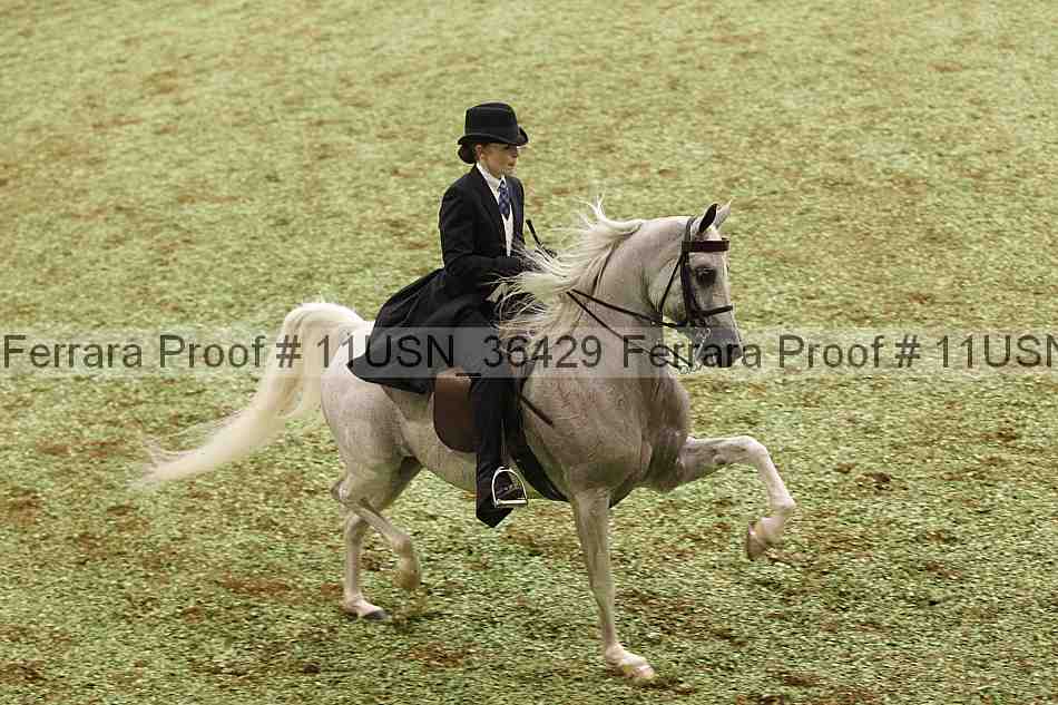 Proof 11usn_36429