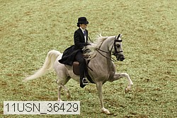 11usn_36429 proof
