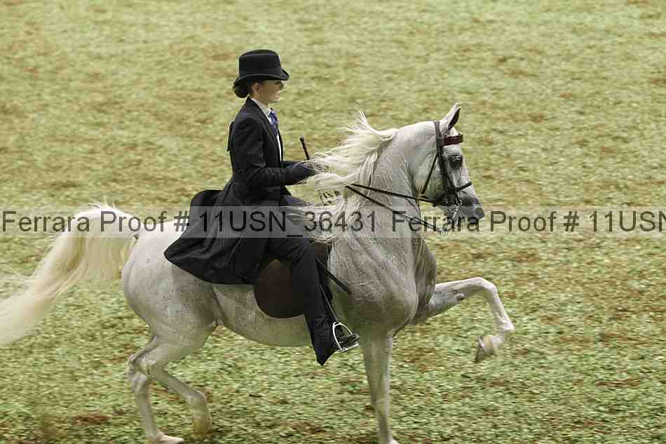 Proof 11usn_36431