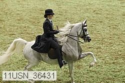 11usn_36431 proof