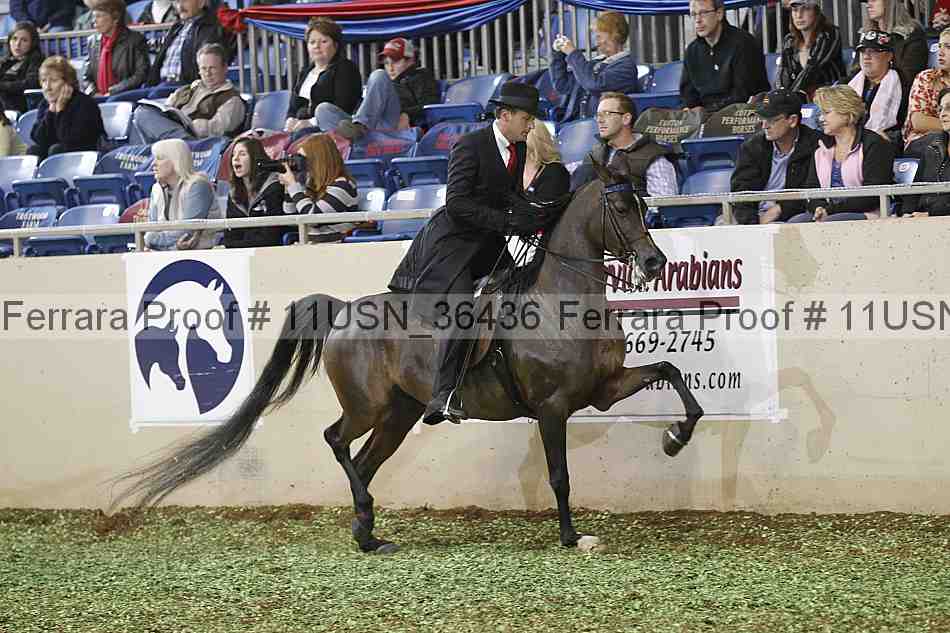 Proof 11usn_36436