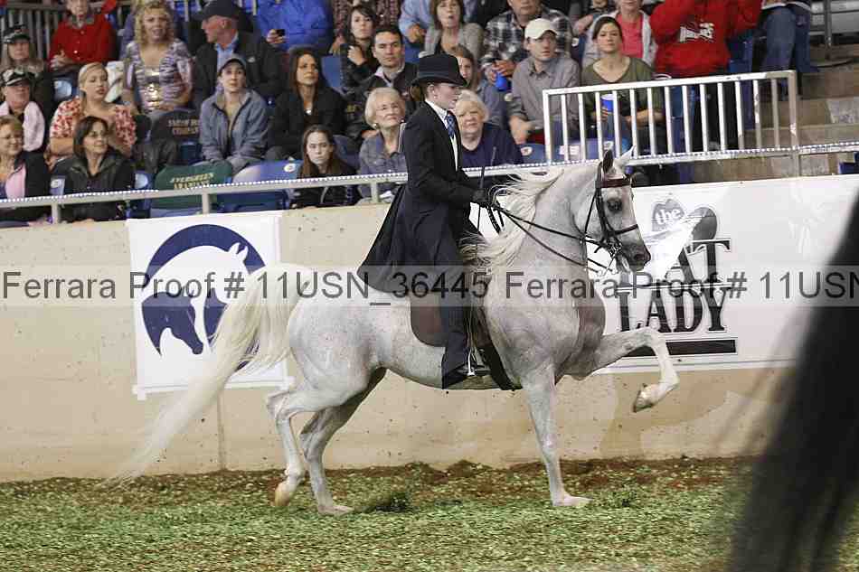 Proof 11usn_36445