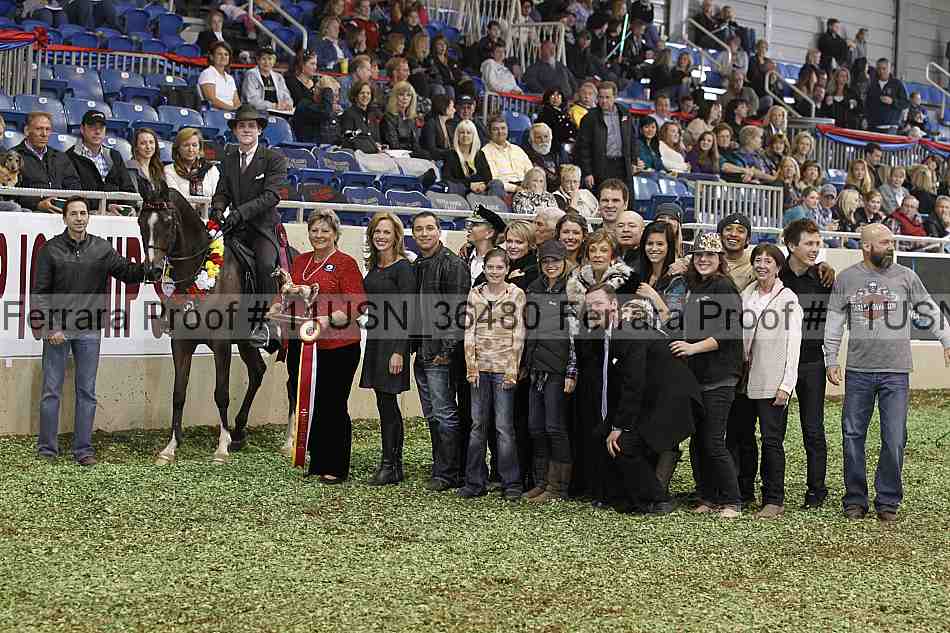 Proof 11usn_36480