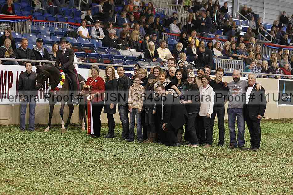 Proof 11usn_36486