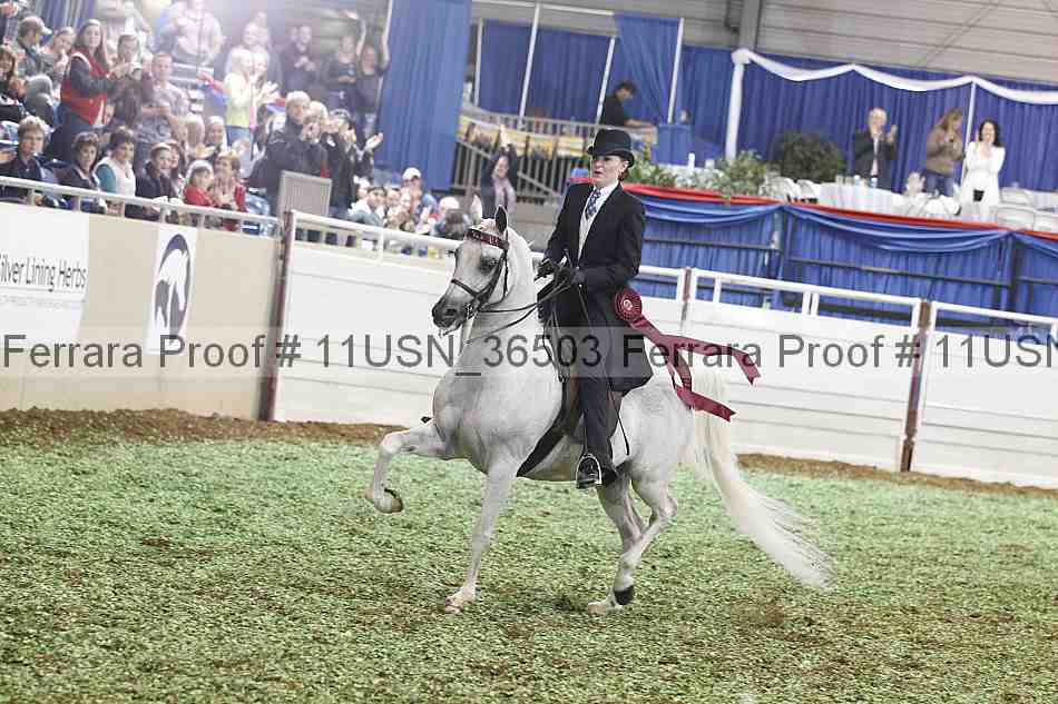 Proof 11usn_36503