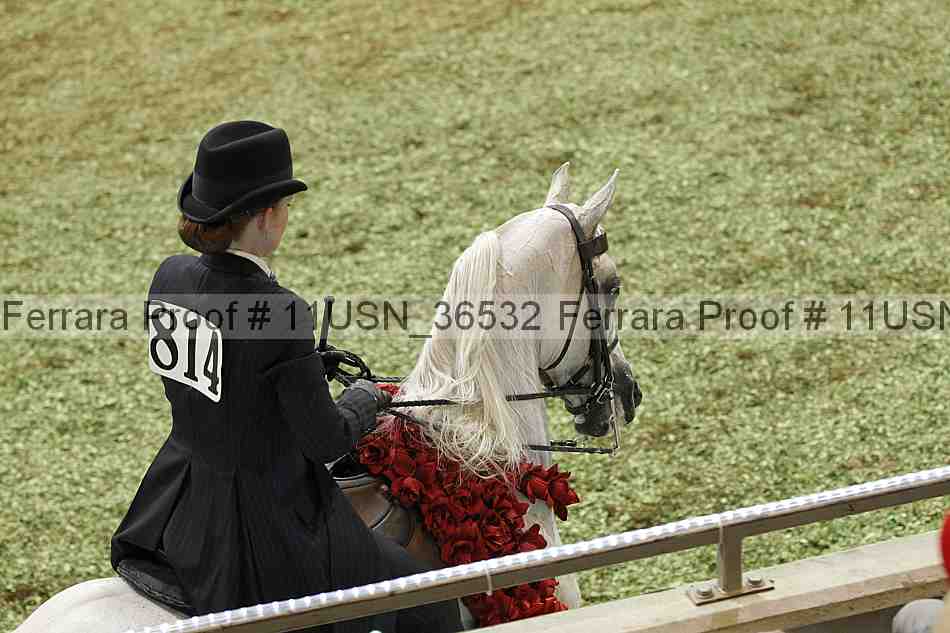 Proof 11usn_36532