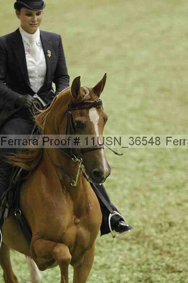 Proof 11usn_36548