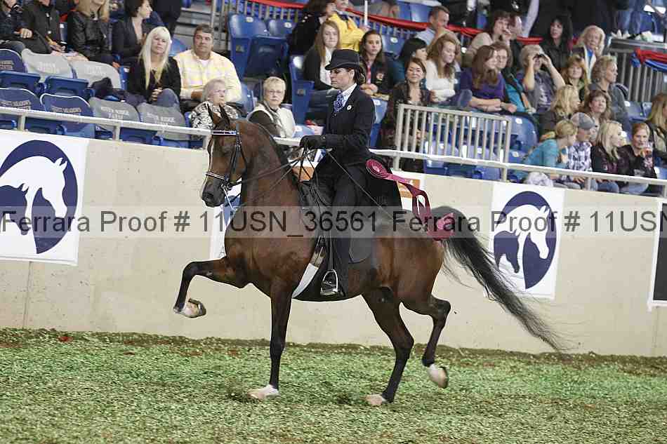 Proof 11usn_36561
