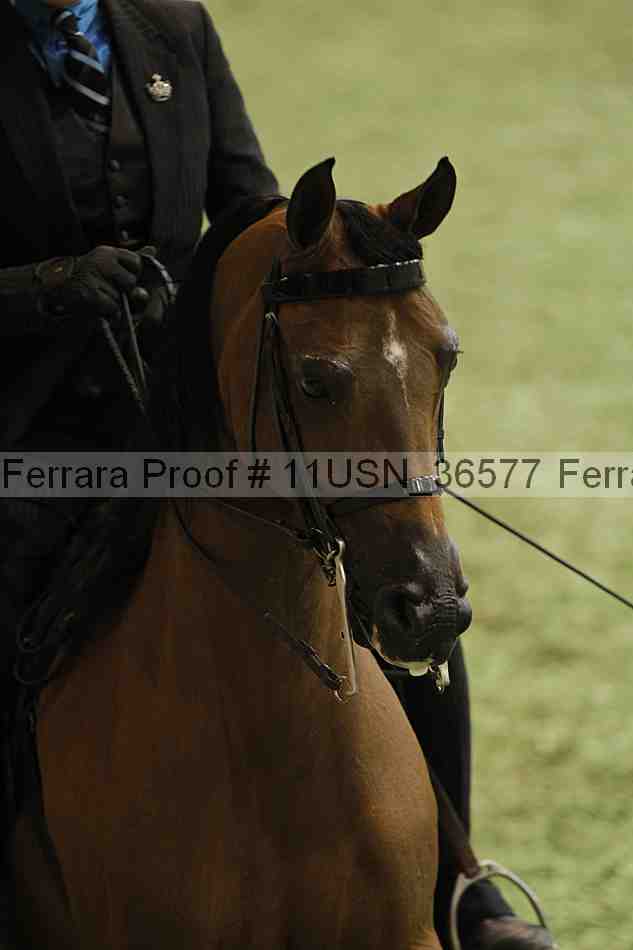 Proof 11usn_36577