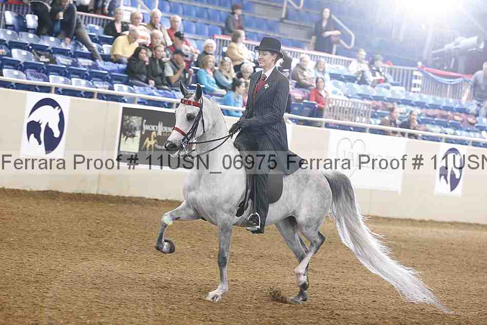 Proof 11usn_06975