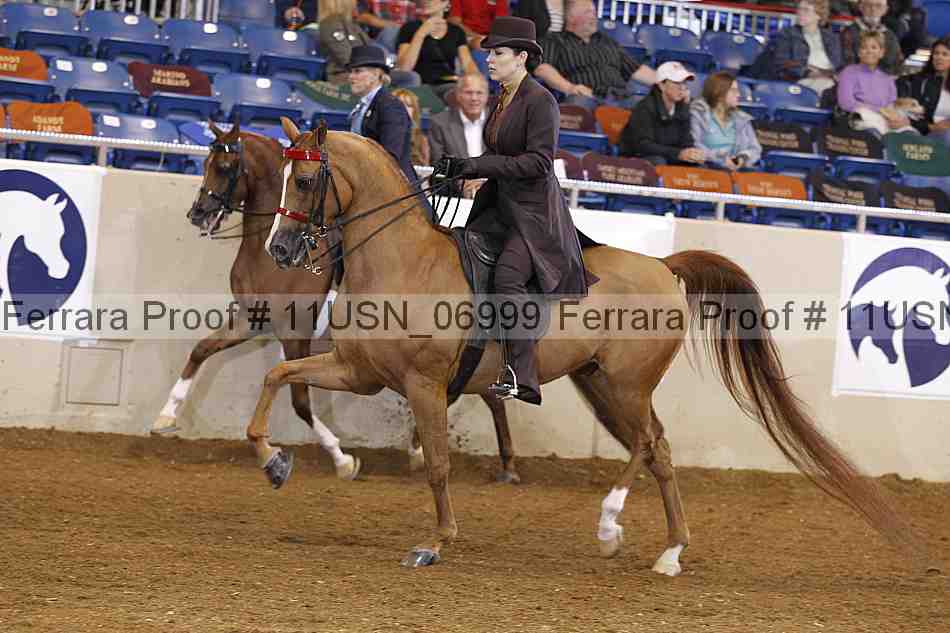 Proof 11usn_06999