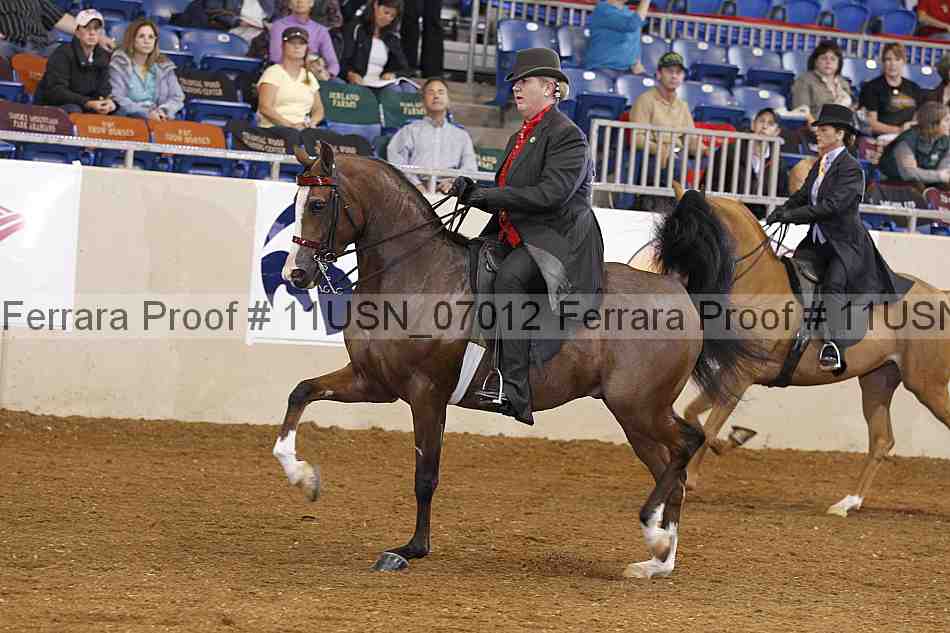 Proof 11usn_07012