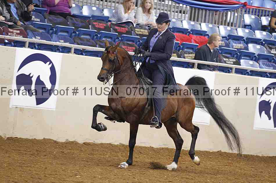 Proof 11usn_07017