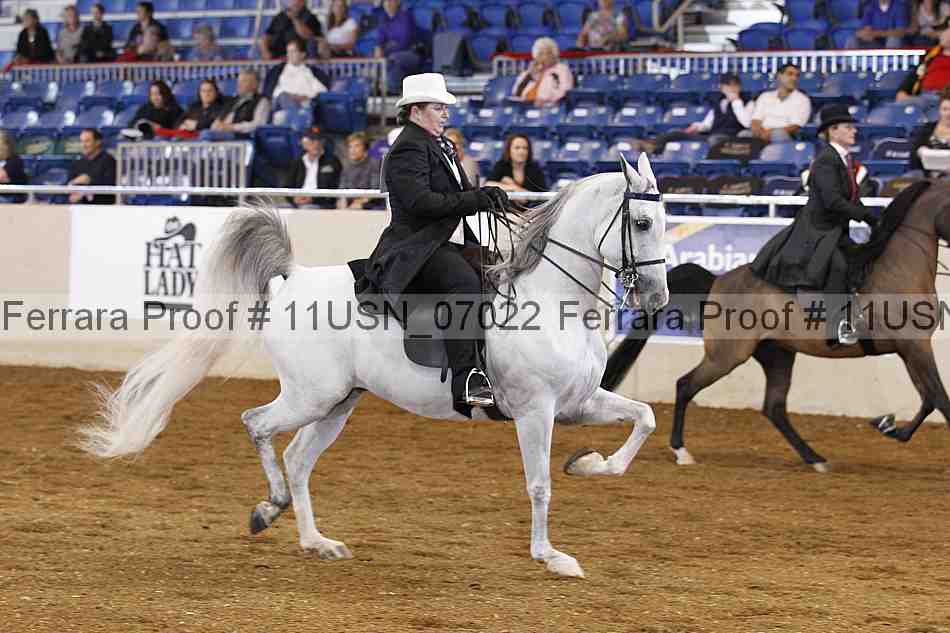 Proof 11usn_07022