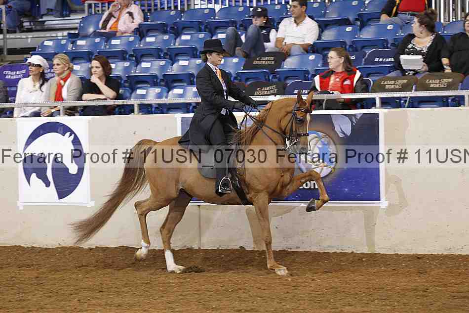 Proof 11usn_07030