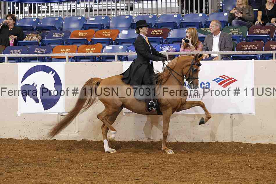 Proof 11usn_07031
