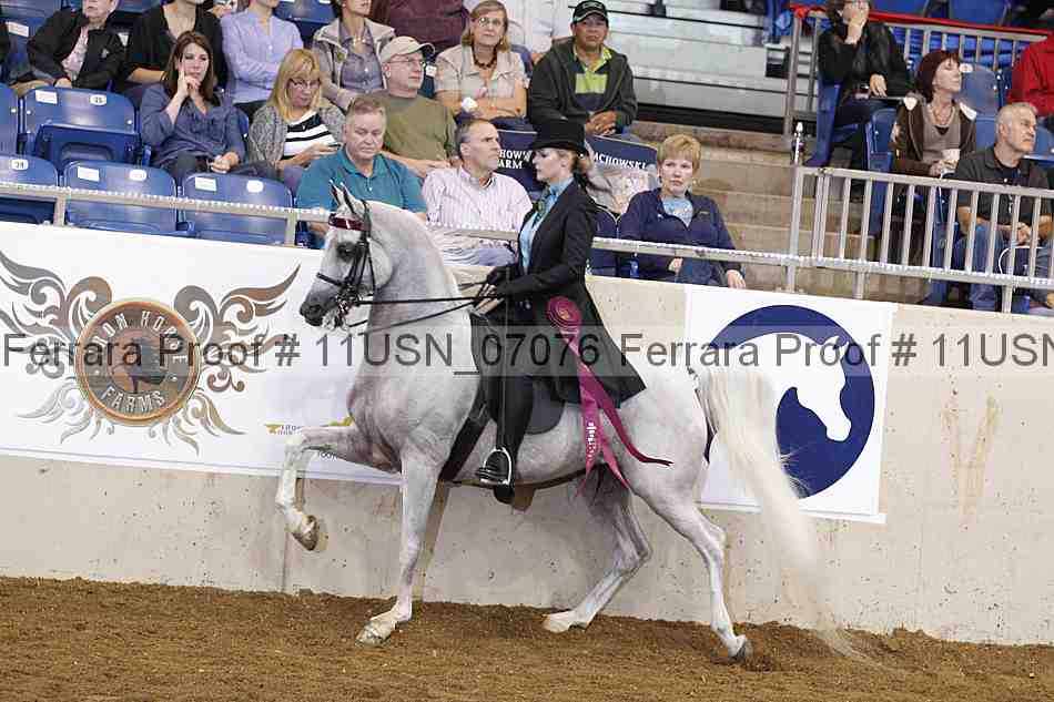 Proof 11usn_07076