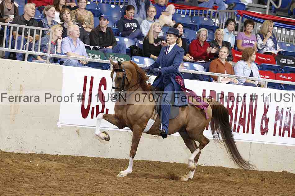 Proof 11usn_07077