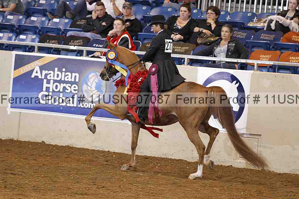 Proof 11usn_07087