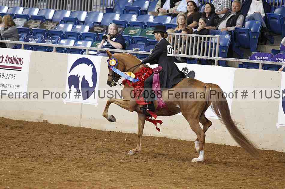Proof 11usn_07088