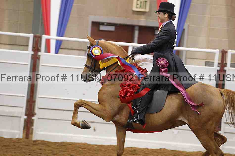 Proof 11usn_07092