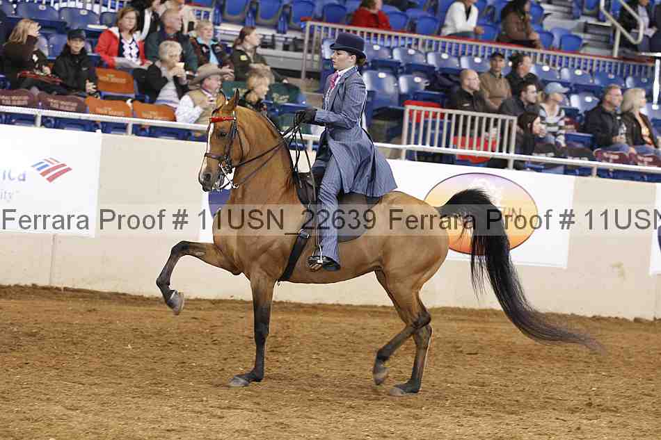Proof 11usn_22639