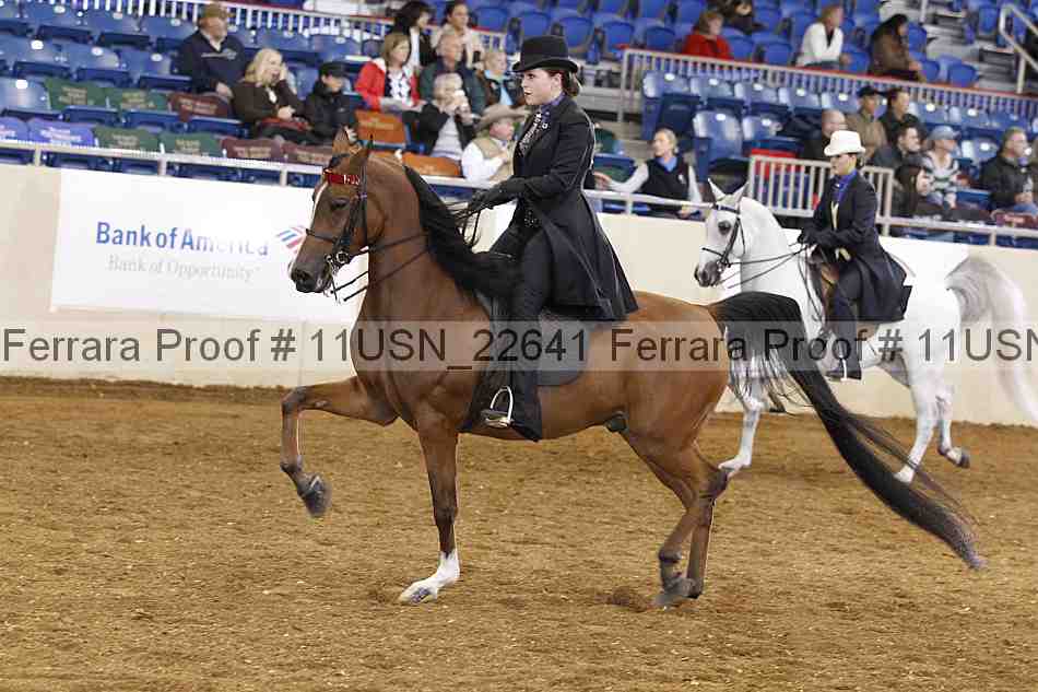 Proof 11usn_22641