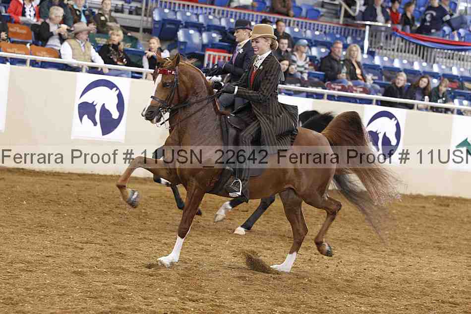 Proof 11usn_22642