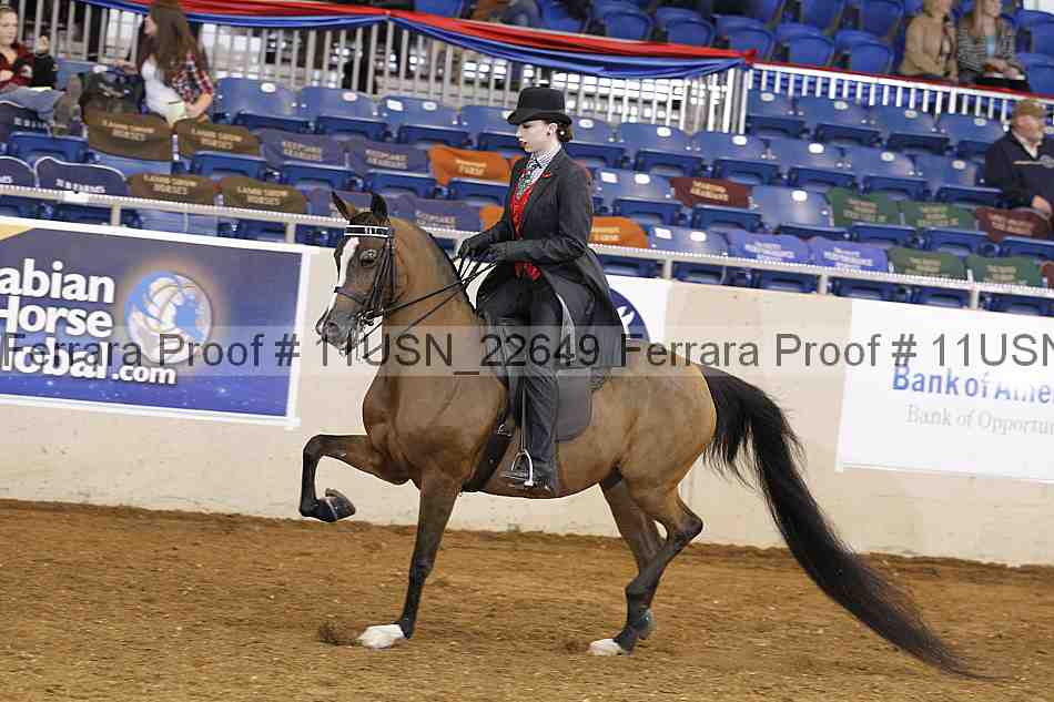 Proof 11usn_22649