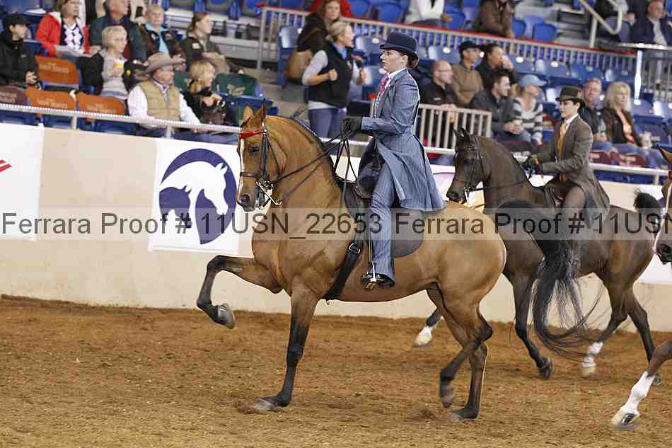 Proof 11usn_22653