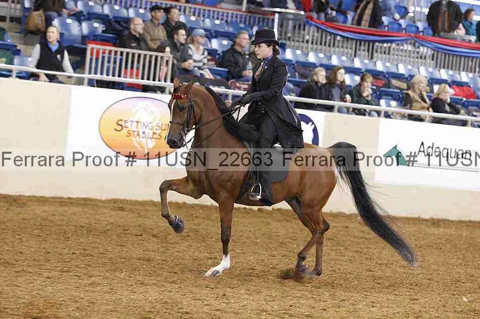 Proof 11usn_22663
