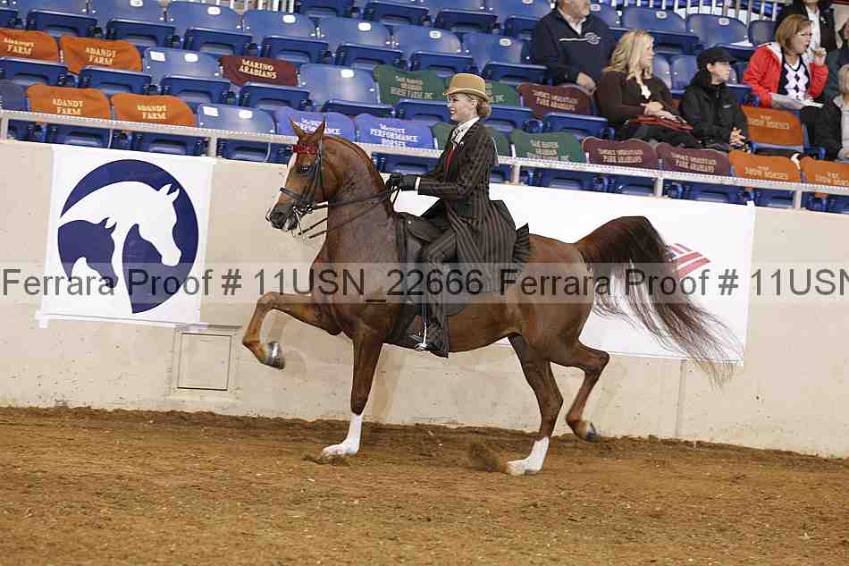 Proof 11usn_22666