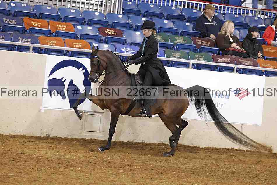 Proof 11usn_22667
