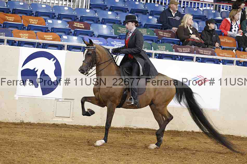 Proof 11usn_22677