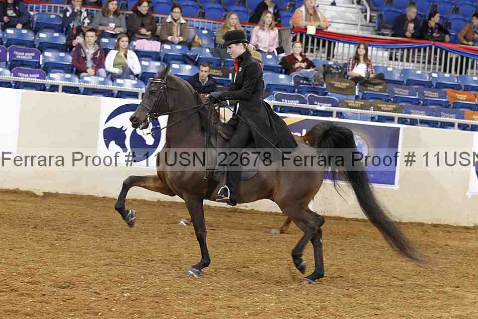 Proof 11usn_22678